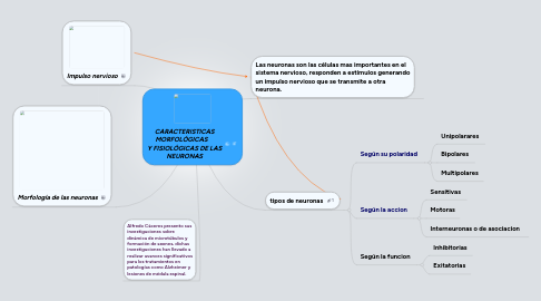 Mind Map: CARACTERISTICAS MORFOLÓGICAS Y FISIOLÓGICAS DE LAS NEURONAS