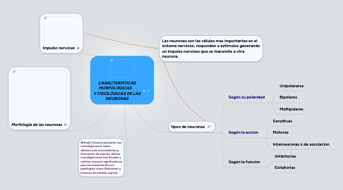 Mind Map: CARACTERISTICAS MORFOLÓGICAS     Y FISIOLÓGICAS DE LAS NEURONAS