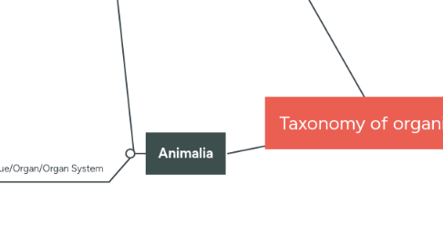 Mind Map: Taxonomy of organisms
