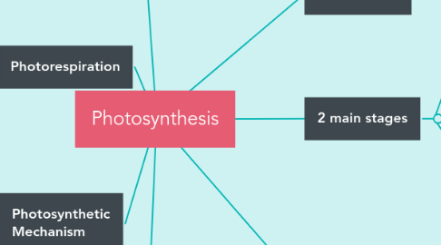 Mind Map: Photosynthesis