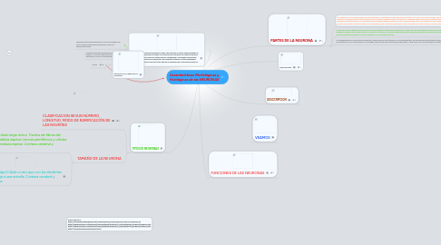 Mind Map: Características Morfológicas y fisiológicas de las NEURONAS