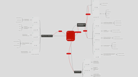 Mind Map: REPSOL