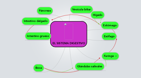 Mind Map: EL SISTEMA DIGESTIVO