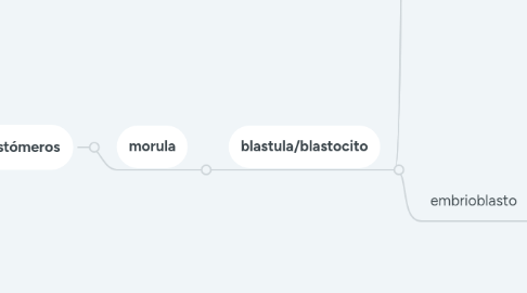 Mind Map: Cigoto