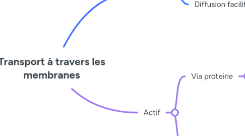 Mind Map: Transport à travers les membranes