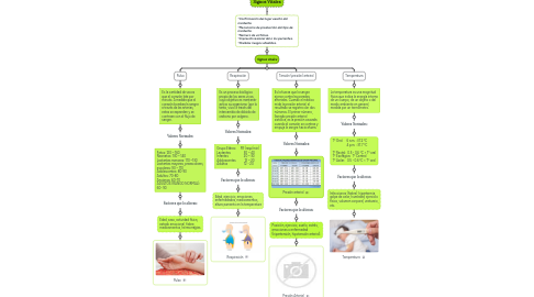 Mind Map: Signos Vitales