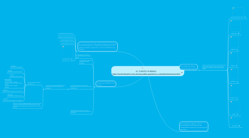 Mind Map: EL CUERPO HUMANO http://centros6.pntic.mec.es/cea.pablo.guzman/cc_naturales/seresvivos.htm