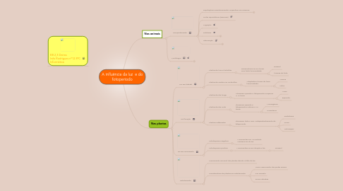 Mind Map: A influência da luz e do fotoperíodo