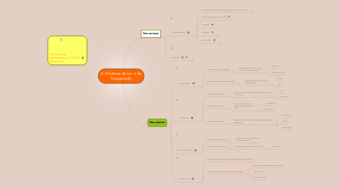 Mind Map: A influência da luz  e do fotoperíodo