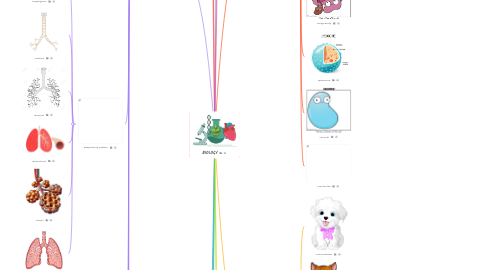 Mind Map: BIOLOGY