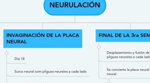 Mind Map: NEURULACIÓN