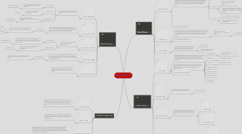 Mind Map: Physical Patterns