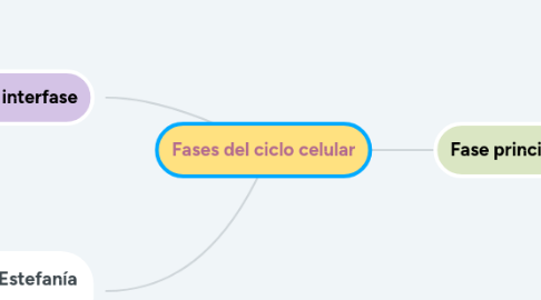 Mind Map: Fases del ciclo celular
