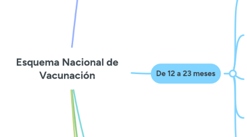 Mind Map: Esquema Nacional de Vacunación
