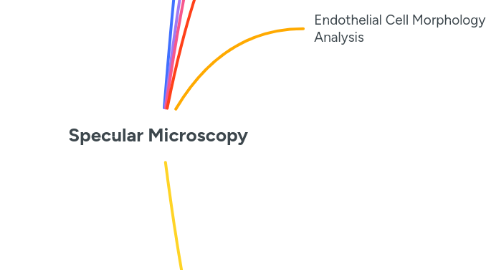 Mind Map: Specular Microscopy