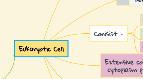 Mind Map: Eukaryotic Cell