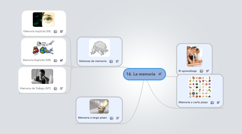 Mind Map: 16. La memoria