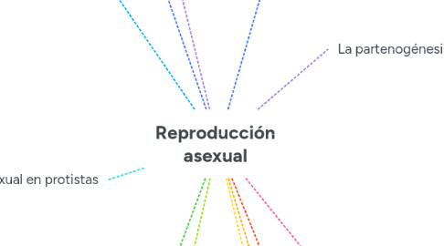 Mind Map: Reproducción asexual