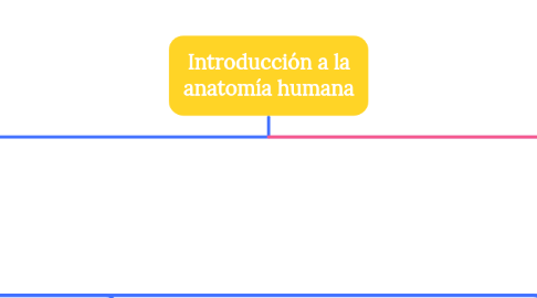 Mind Map: Introducción a la anatomía humana