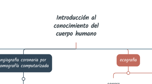 Mind Map: Introducción al conocimiento del cuerpo humano