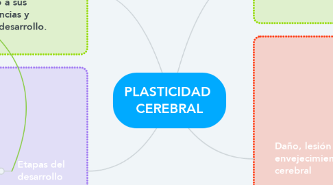 Mind Map: PLASTICIDAD  CEREBRAL