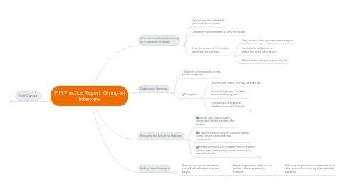 Mind Map: PIM Practice Report: Giving an Interview