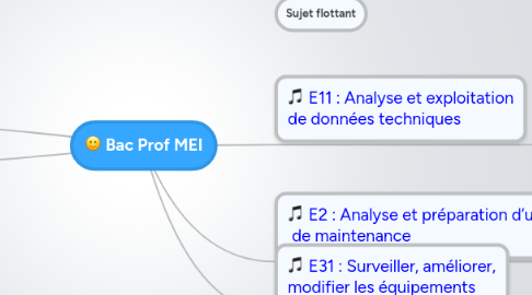 Mind Map: Bac Prof MEI