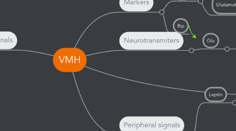 Mind Map: VMH