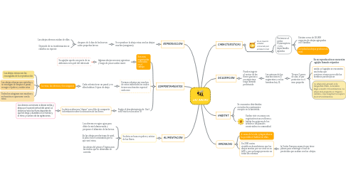 Mind Map: LAS ABEJAS