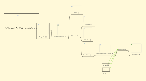 Mind Map: CICLO DE LAS ANGIOSPERMAS