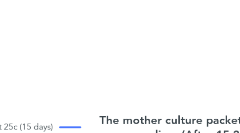 Mind Map: The mother culture packet has grown mycelium (After 15-21days)