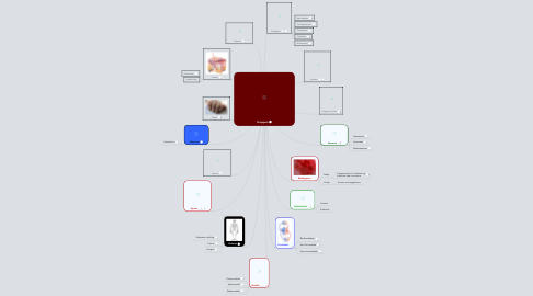 Mind Map: Kroppen