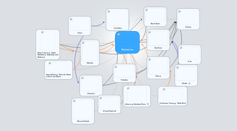 Mind Map: Wolverine