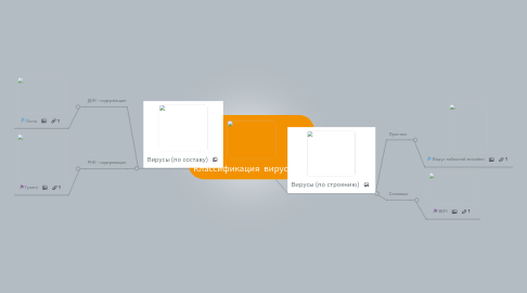 Mind Map: Классификация вирусов