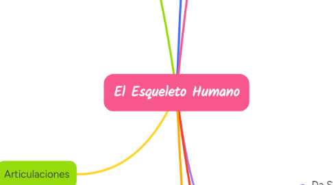 Mind Map: El Esqueleto Humano