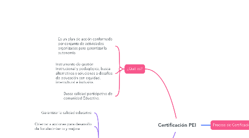 Mind Map: Certificación PEI
