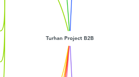 Mind Map: Turhan Project B2B