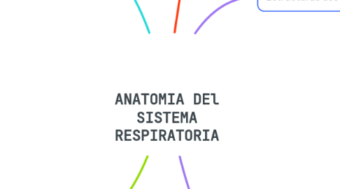 Mind Map: ANATOMIA DEl SISTEMA RESPIRATORIA