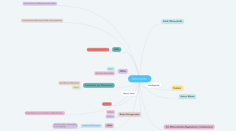 Mind Map: Estructura Arn