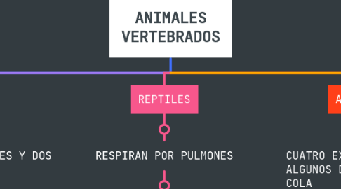 Mind Map: ANIMALES VERTEBRADOS