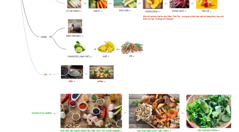 Mind Map: GIA VỊ THỰC DƯỠNG - NÊM NẾM KHI NẤU ĂN