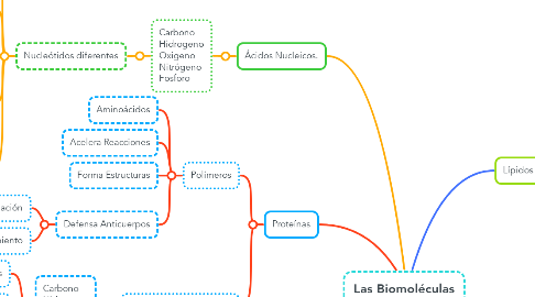 Mind Map: Las Biomoléculas