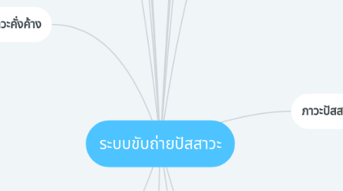 Mind Map: ระบบขับถ่ายปัสสาวะ