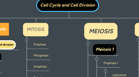 Mind Map: Cell Cycle and Cell Division