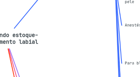 Mind Map: Organizando estoque- Preenchimento labial