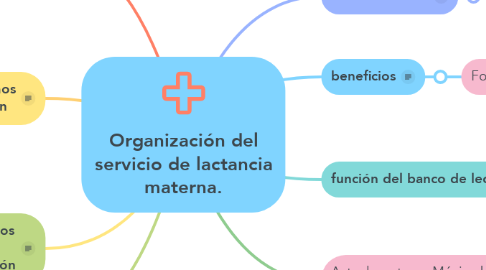 Mind Map: Organización del servicio de lactancia materna.