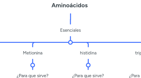 Mind Map: Aminoácidos