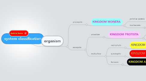 Mind Map: system classification