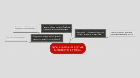 Mind Map: Типы жилкования листьев (интерактивная схема)