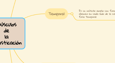 Mind Map: Músculos de la Masticación